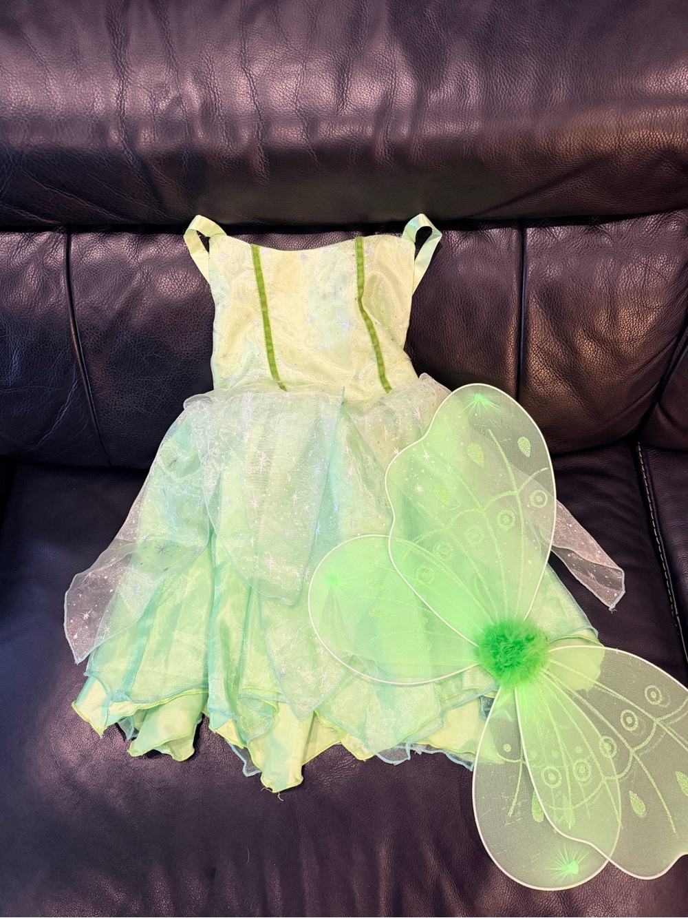 Tinker Bell Fairy Costume Dress with Wings - Kids Costume